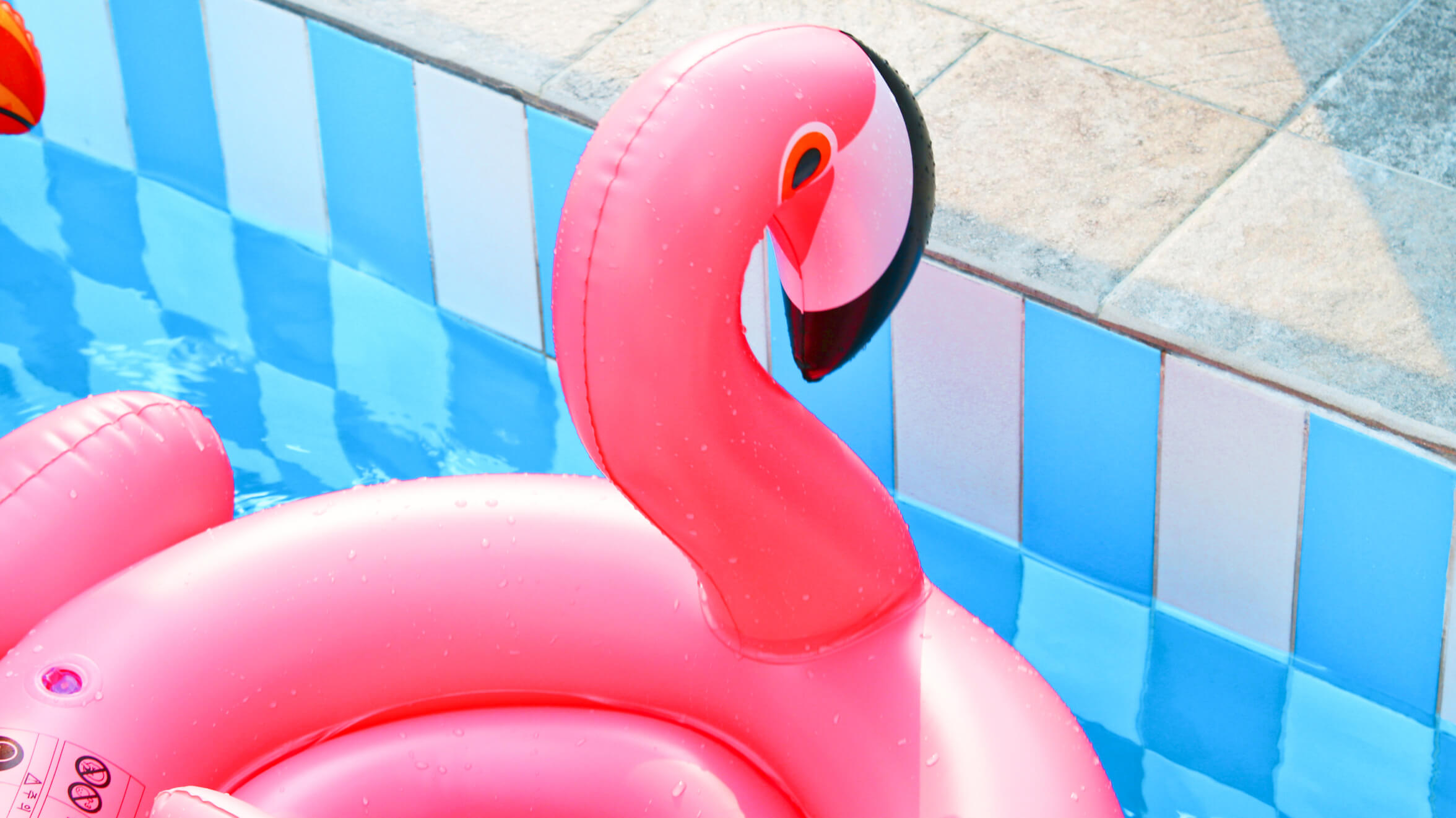 Epic Pool Fails with My Family *Challenge*